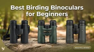 best birding binoculars for beginners