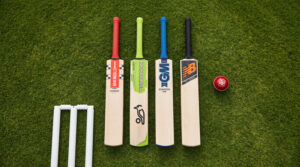 best cricket bats for beginners