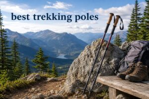 best trekking poles