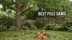 best pole saws