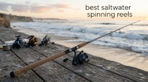 best saltwater spinning reels