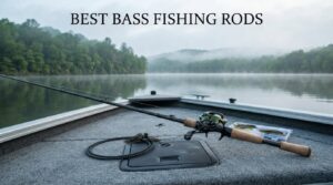 best bass fishing rods