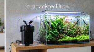 best canister filters