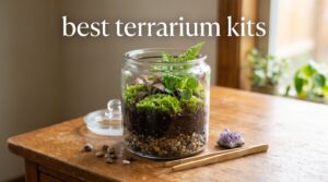 best terrarium kits