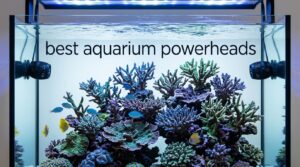 best aquarium powerheads