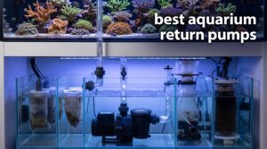 best aquarium return pumps