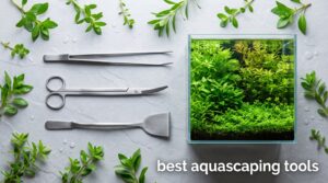 best aquascaping tools