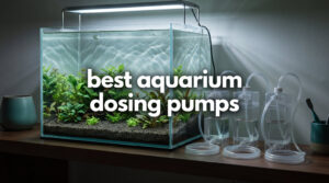 best aquarium dosing pumps