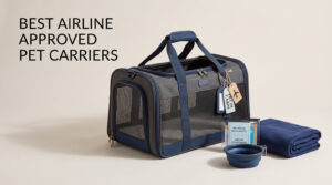 best airline approved pet carriers