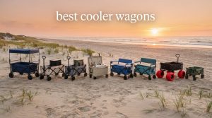best cooler wagons