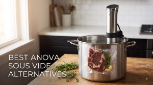 best anova sous vide alternatives