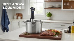best anova sous vide