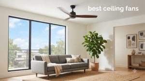 best ceiling fans