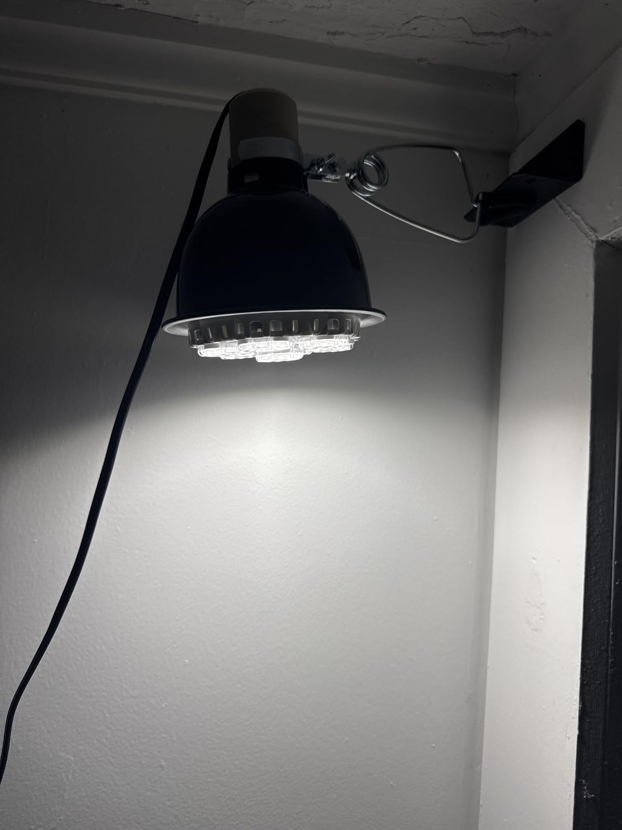 Deluxe Porcelain Clamp Lamp with 5.5-Inch Dome, Black customer photo 1