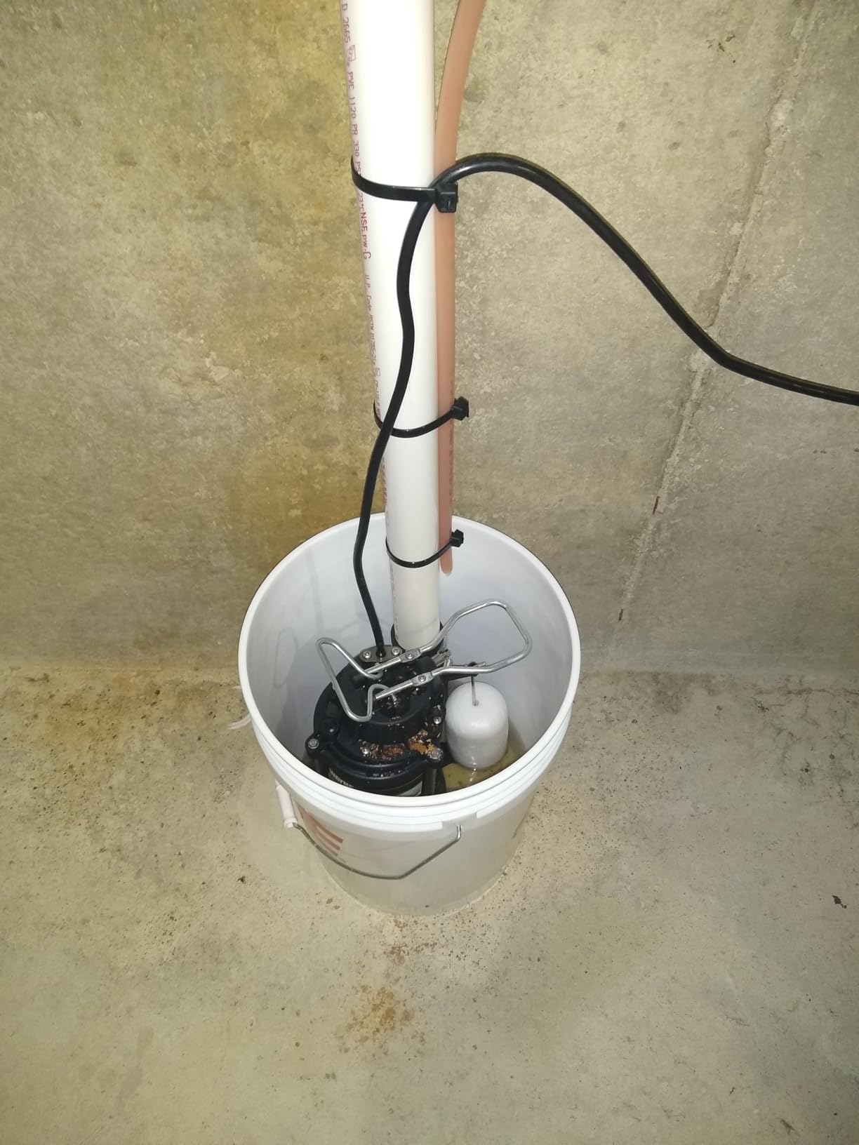 WAYNE CDU790 1/3 HP Submersible Cast Iron and Stainless Steel Sump Pump with Integrated Vertical Float Switch - Up to 4,600 Gallons Per Hour customer photo 2
