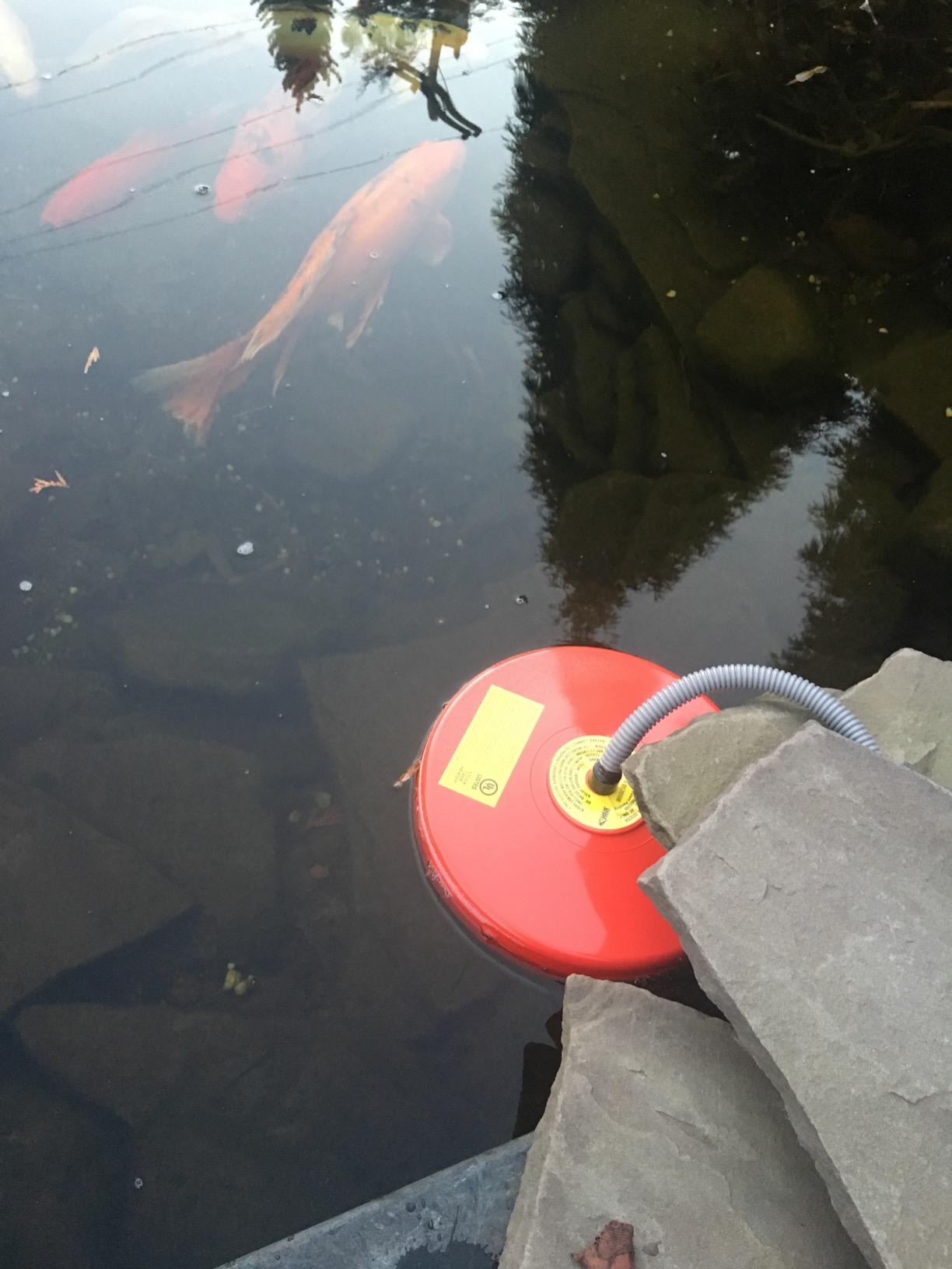 Allied Precision 7521 Floating 1,500-Watt Pond De-Icer/Heater customer photo 1