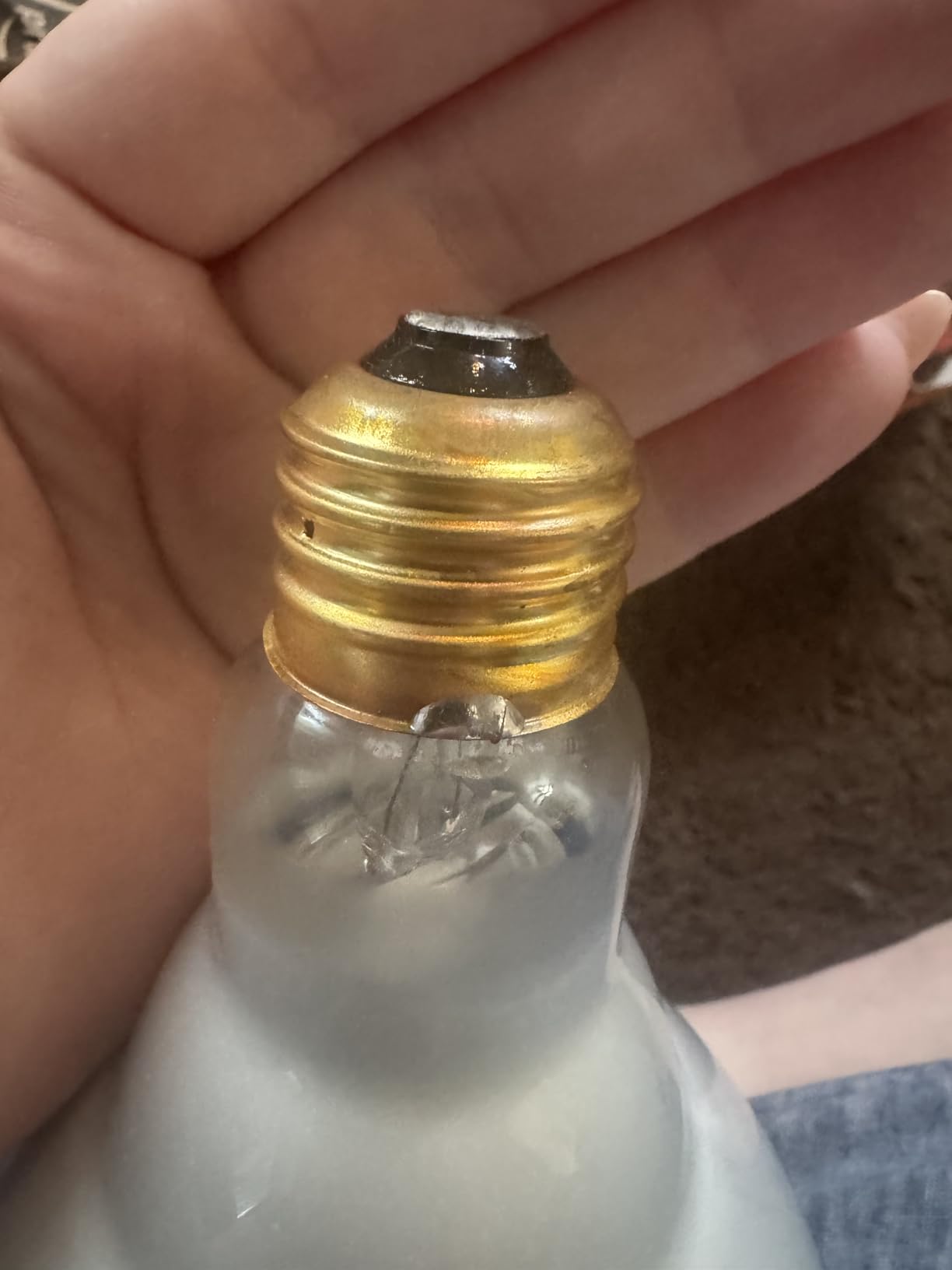 Fluker's Incandescent Basking Spotlight Bulbs for Reptiles Tanks, Reptile Heat Lamp Bulbs for Infrared Light, 150-Watt customer photo 2