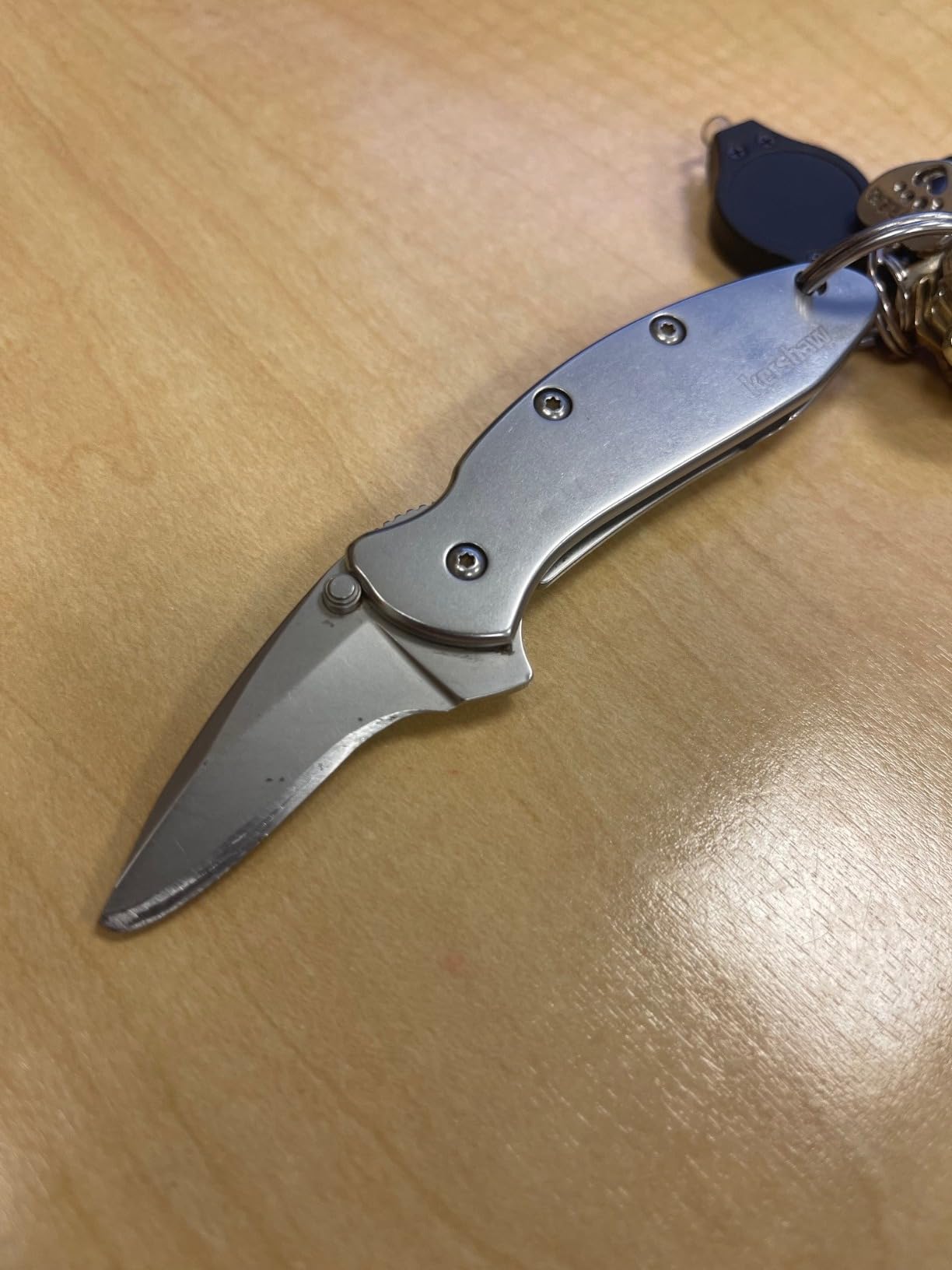 Kershaw Chive Pocket Knife, 1.9 Inch 420HC Steel Blade, Speedsafe Assisted Opening, Made in the USA, (1600) customer photo 1