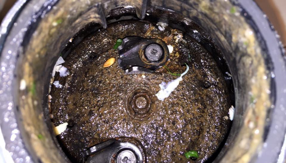 Waste King Garbage Disposal for Kitchen Sink with Power Cord, Food Waste Disposer, L-8000 customer photo 1