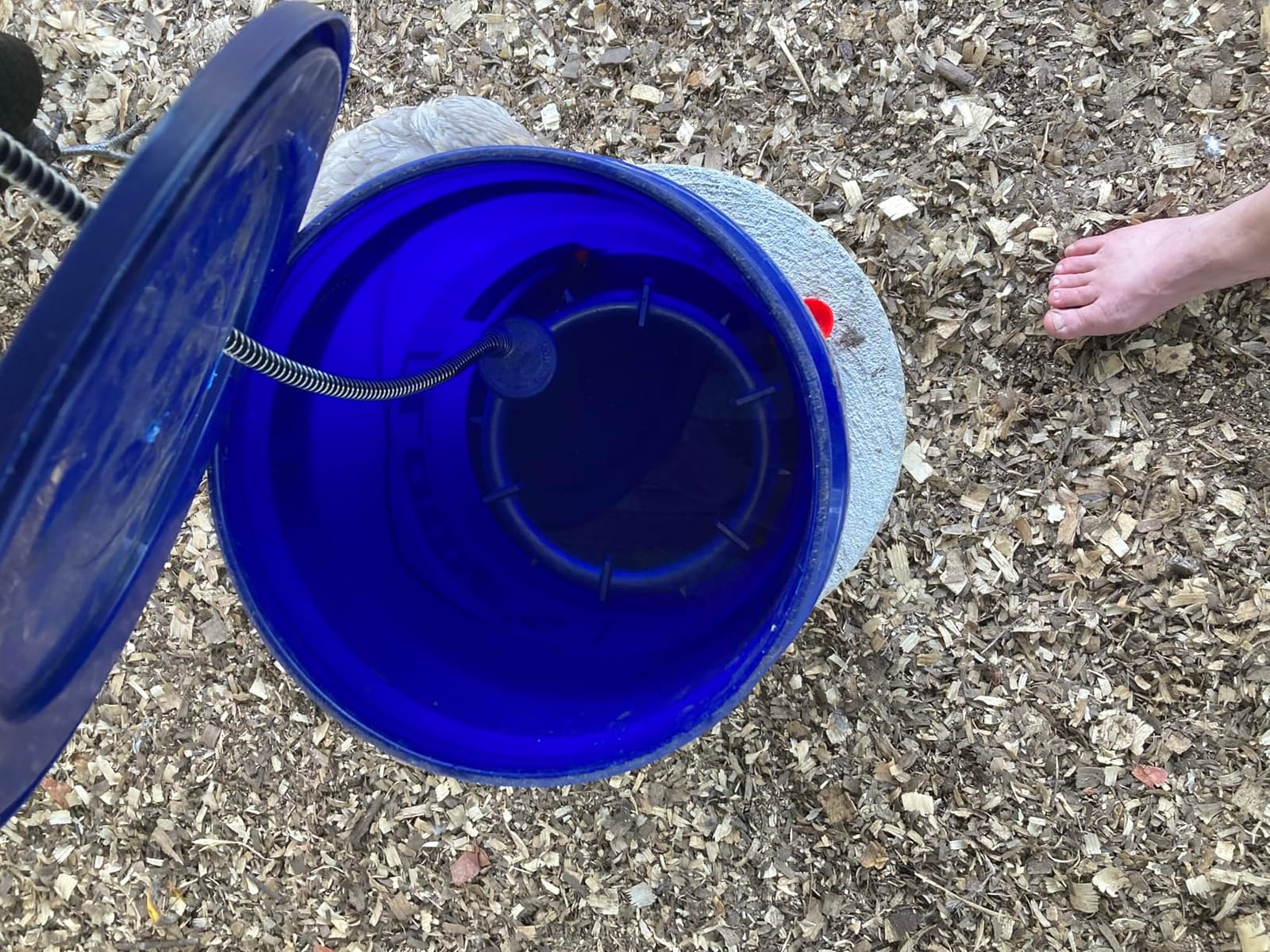 Farm Innovators Ice Chaser Cast Aluminum Submergible Tank De-Icer with Heavy Duty and Anti Chew Cord Protector customer photo 2