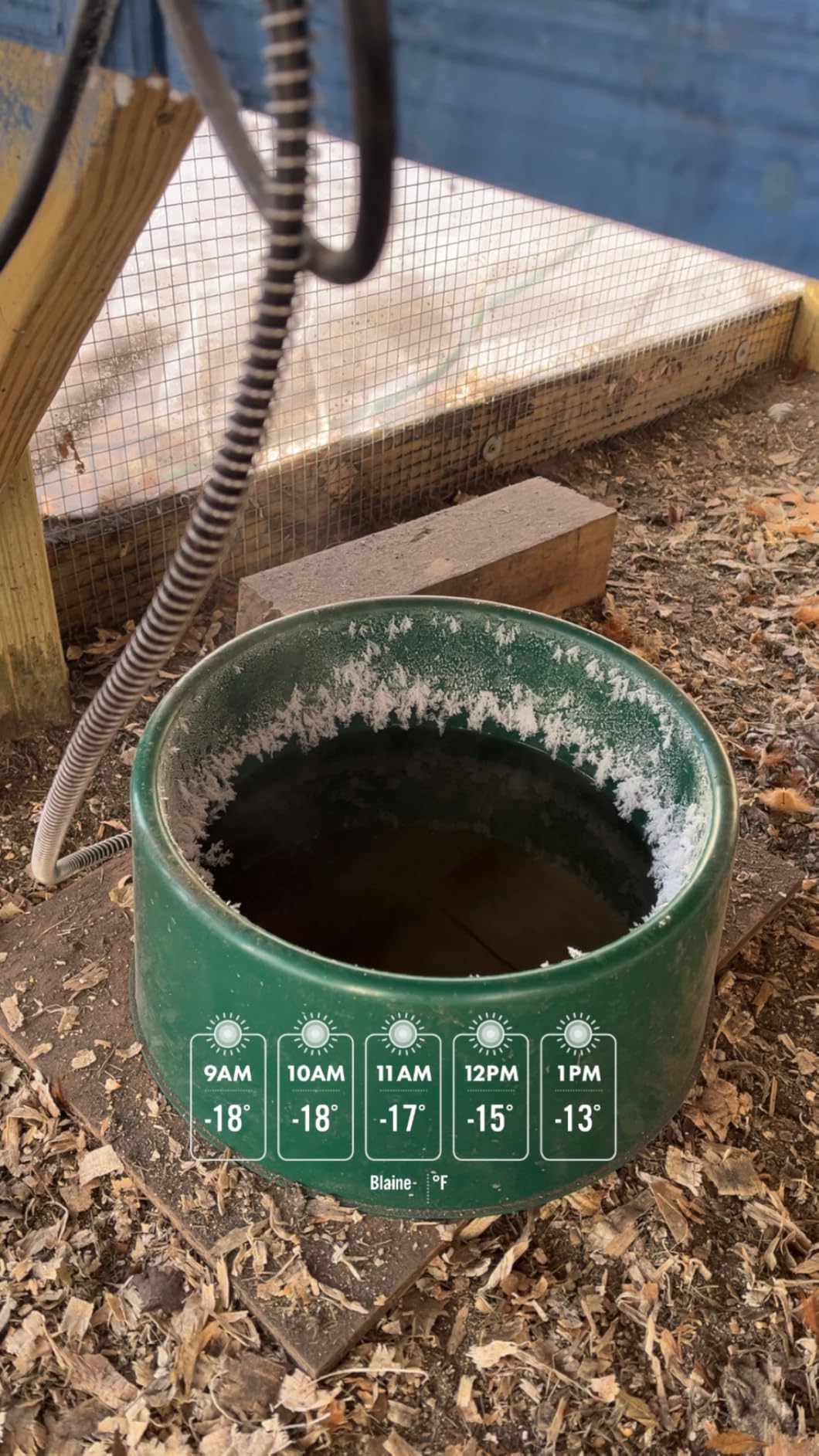 Farm Innovators D-19 Heated Animal Water Bowl, 60 Watts, 1.25 Gallon, Red | Thermostatic Electric Dish with Anti-Chew Cord Protector for Chickens, Dogs, Cats and Other Pets in Freezing Weather customer photo 2