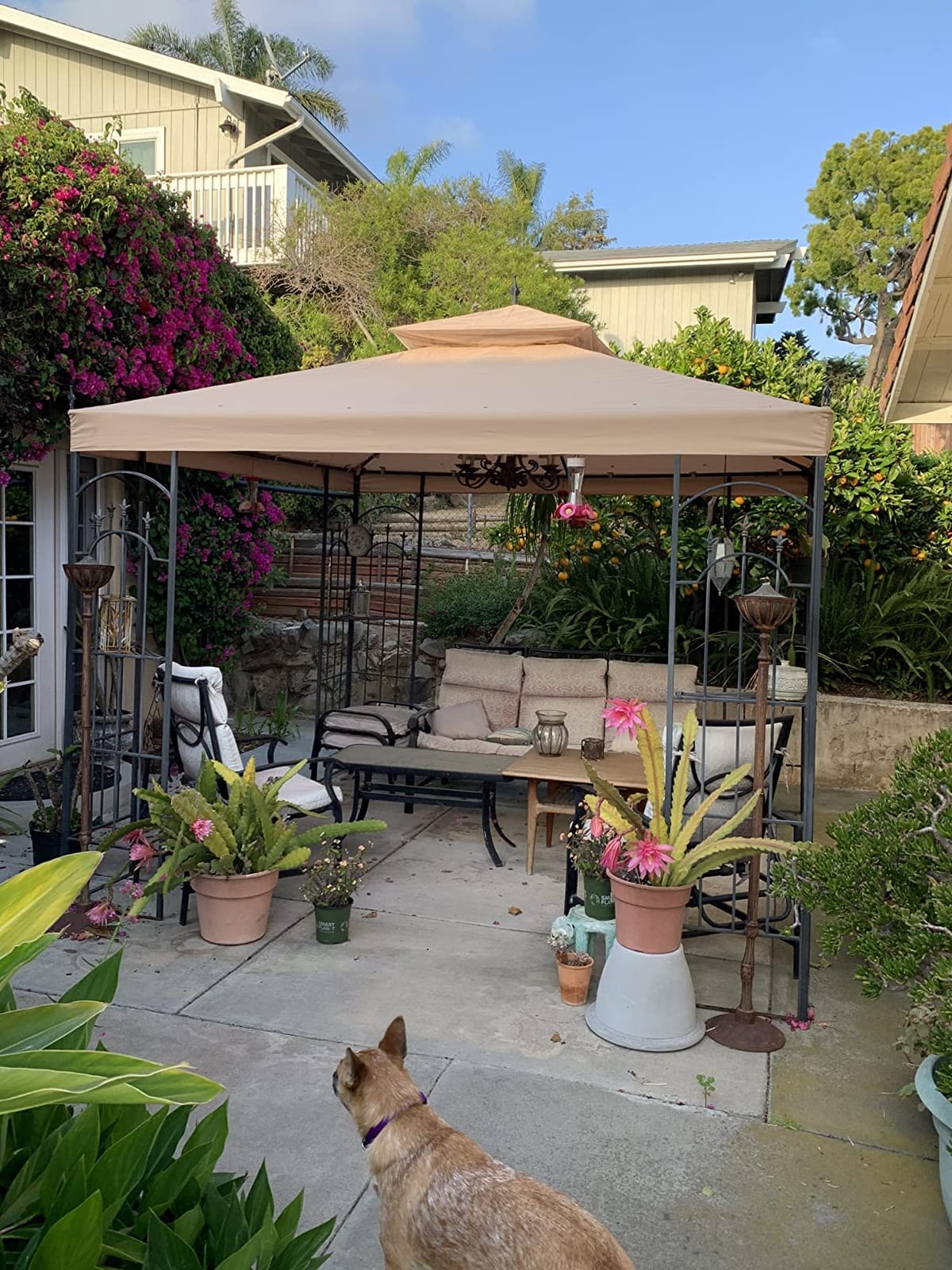 Garden Winds Durable 350 Replacement Canopy Top Compatible with Arrow 10' x 10' Gazebo Models 61821, HD-61821, 618221, 618221-C, GGHL00019 - Beige customer photo 2