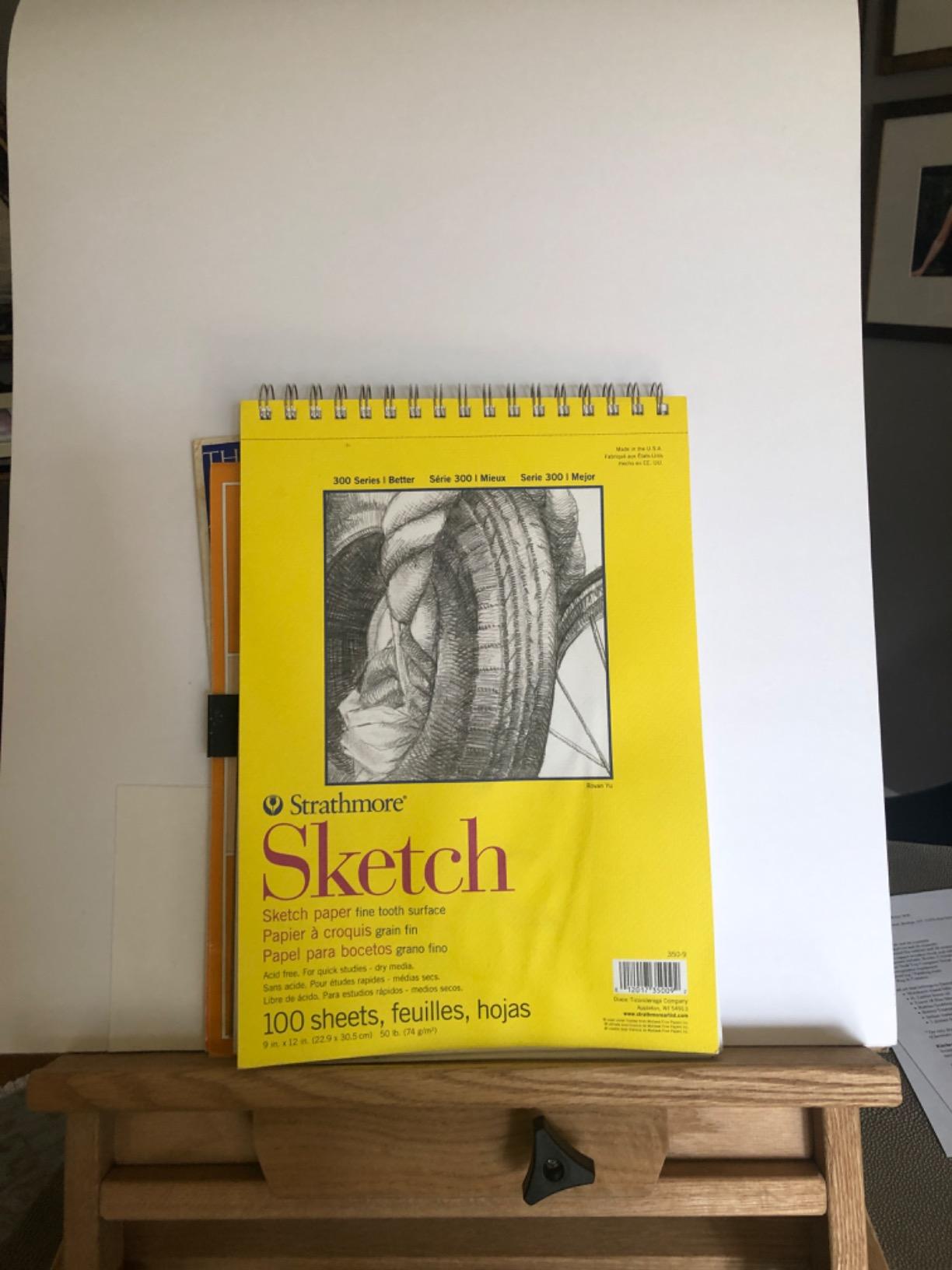 Strathmore 300 Series Wire Bound Sketch Pad, 50 lb. Paper, 9 X 12 inches, 100 Sheets (350-9) customer photo 1
