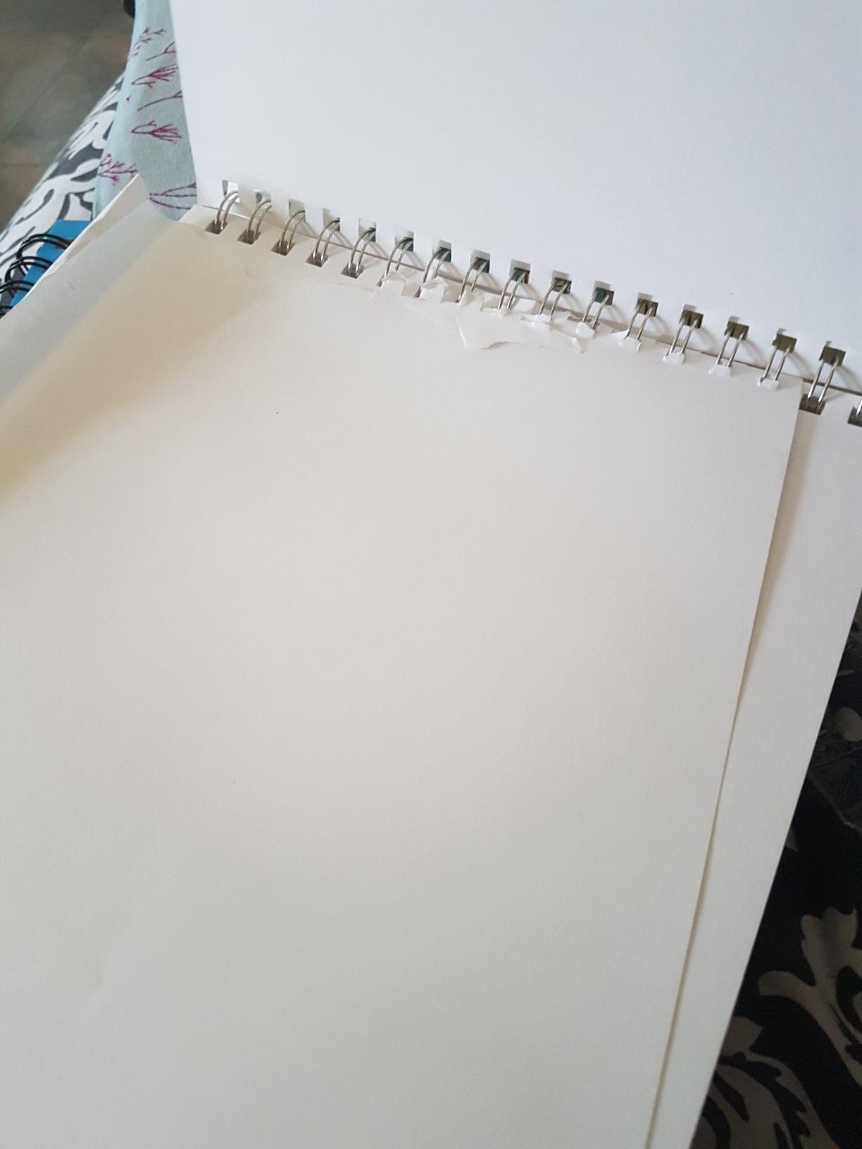 Strathmore 300 Series Wire Bound Sketch Pad, 50 lb. Paper, 9 X 12 inches, 100 Sheets (350-9) customer photo 2