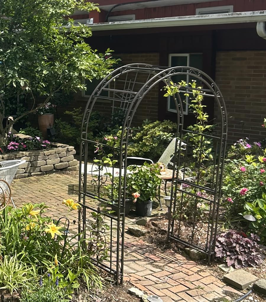 Plow & Hearth Arch Metal Outdoor Garden Arbor | Montebello | 7 Feet Tall | Steel Iron Trellis Lattice for Climbing Plants & Heavy Vines | Wedding Outdoor Patio Decor customer photo 1