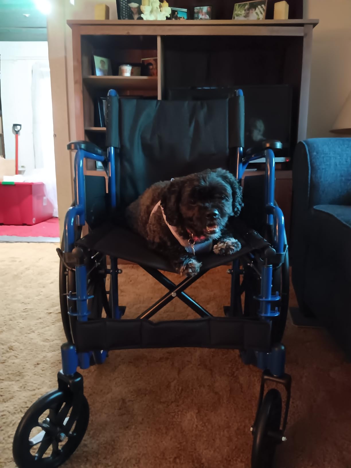 Drive Medical Blue Streak Lightweight Wheelchair, Footrests, 18