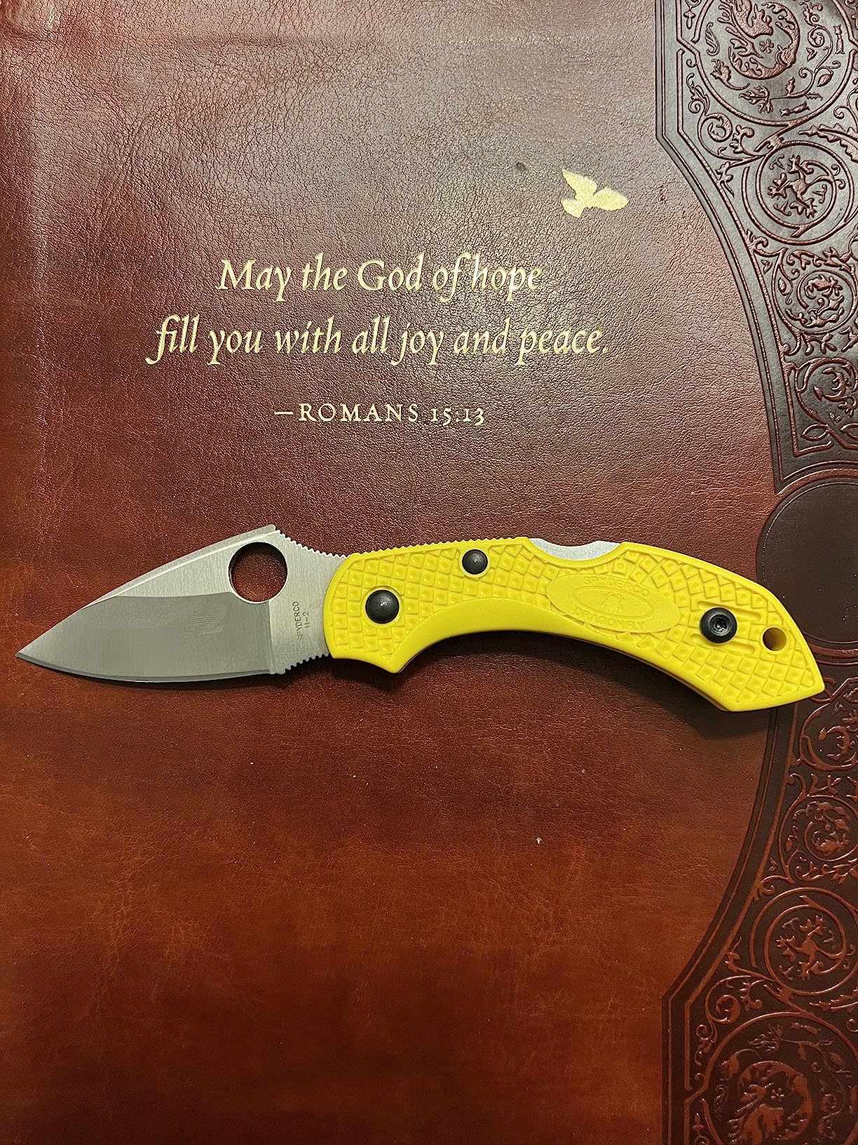 Spyderco Dragonfly 2 Salt Folding Pocket Knife, PlainEdge | 5.58