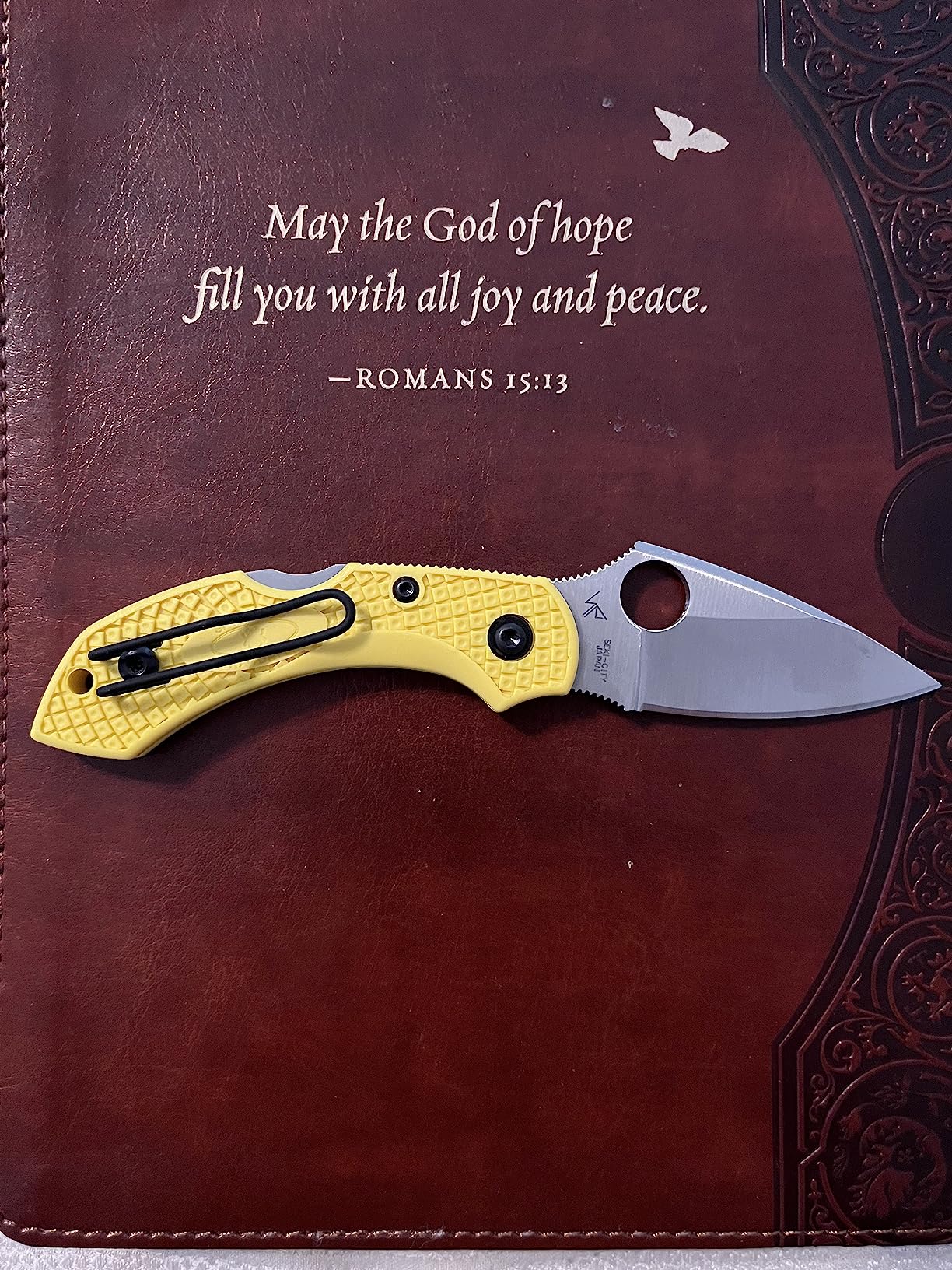 Spyderco Dragonfly 2 Salt Folding Pocket Knife, PlainEdge | 5.58