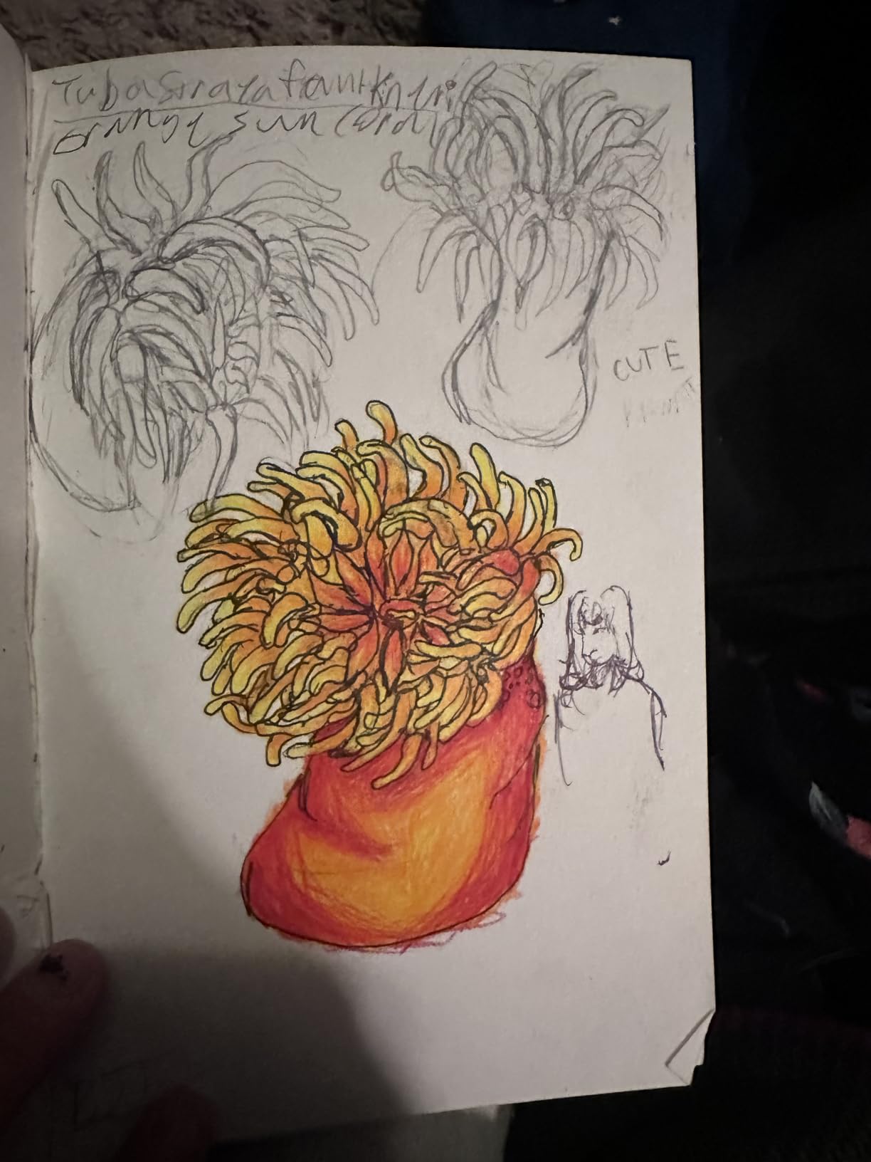 Strathmore 500 Series Hardcover Mixed Media Journal, 90 lb. Vellum Paper, 5.5 X 8.5 inches, 64 Pages (566-5) customer photo 1