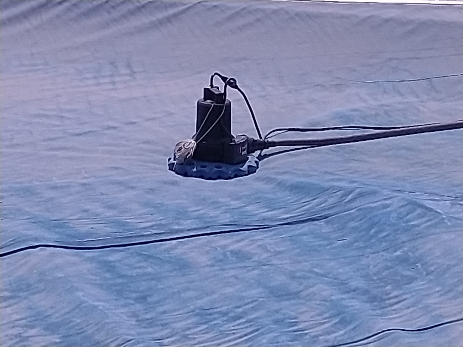 WAYNE WAPC250 Reinforced Thermoplastic Pool Cover Pump customer photo 2