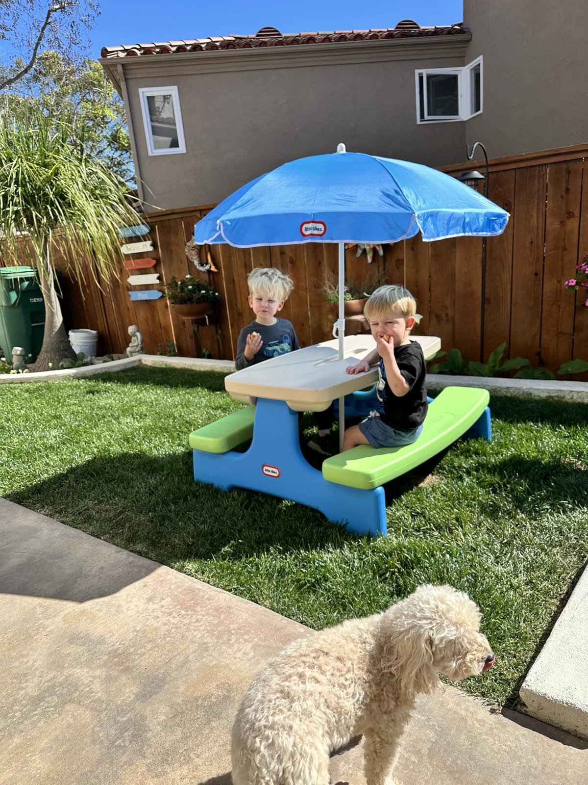 Little Tikes Easy Store Picnic Table with Umbrella, Multi Color, 42.00''L x 38.00''W x 19.75''H customer photo 1