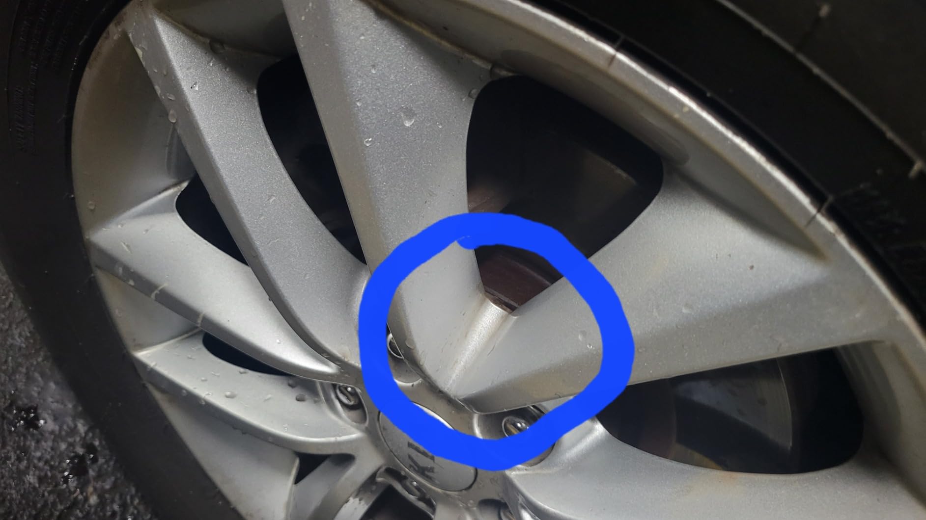 Chemical Guys, Gerbil Wheel & Rim Brush, Soft Natural Bristles, for Tires customer photo 2