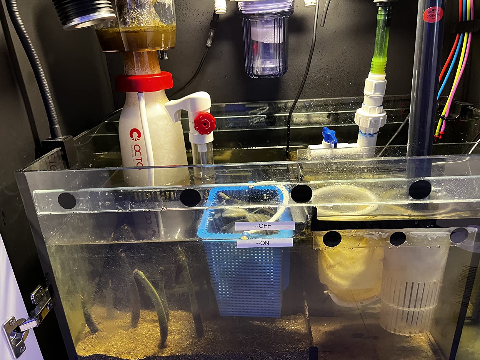 Reef Octopus eSsence S-130 Protein Skimmer customer photo 1
