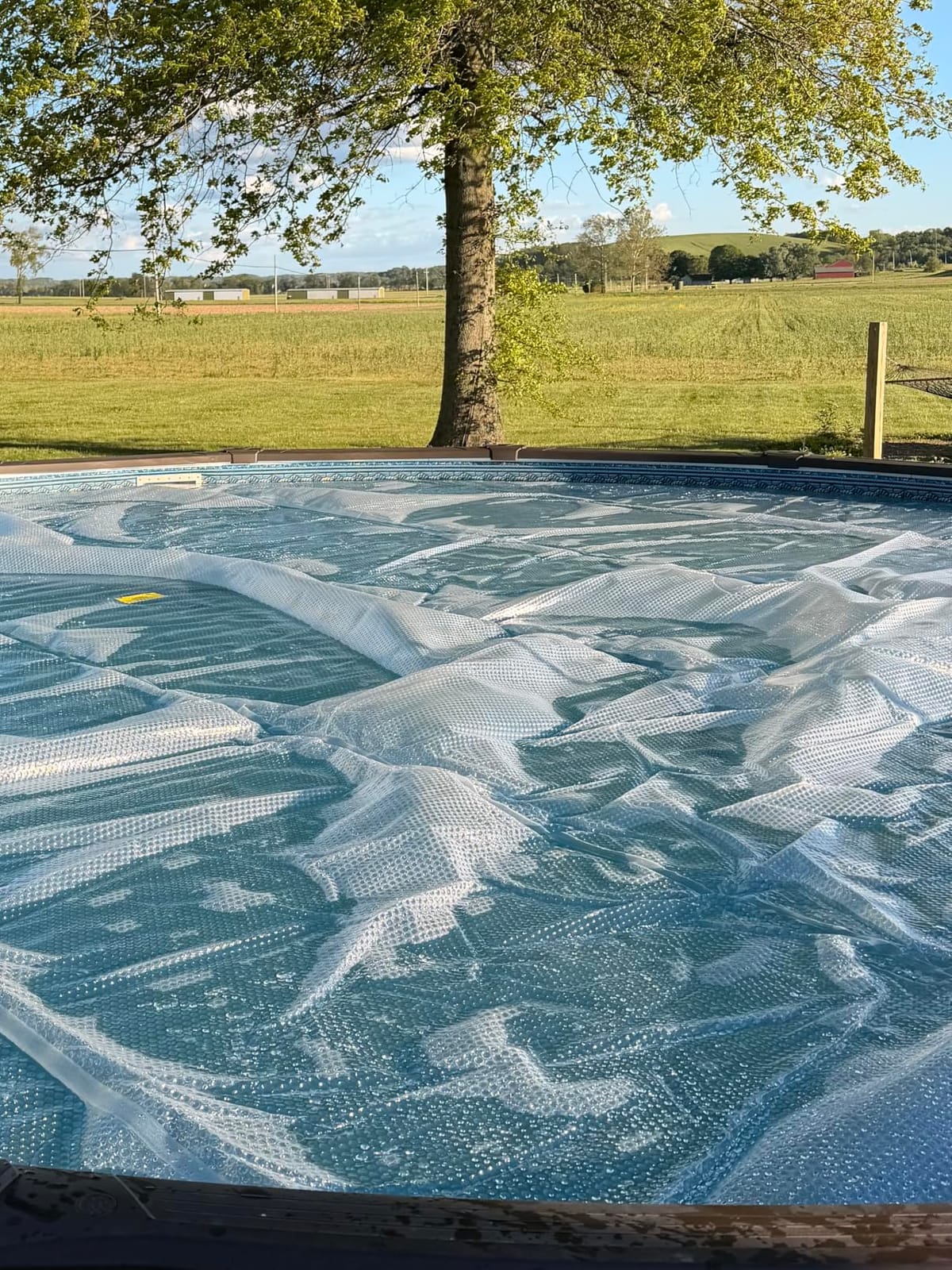 Sun2Solar Blue 24 ft Round Pool Solar Cover | 12 Mil | Heat Retaining | Thermal Blanket for Inground & Above Ground Swimming Pools | Sun's Energy Heats Pool | Bubble Heating Blankets | 1200 Series customer photo 2