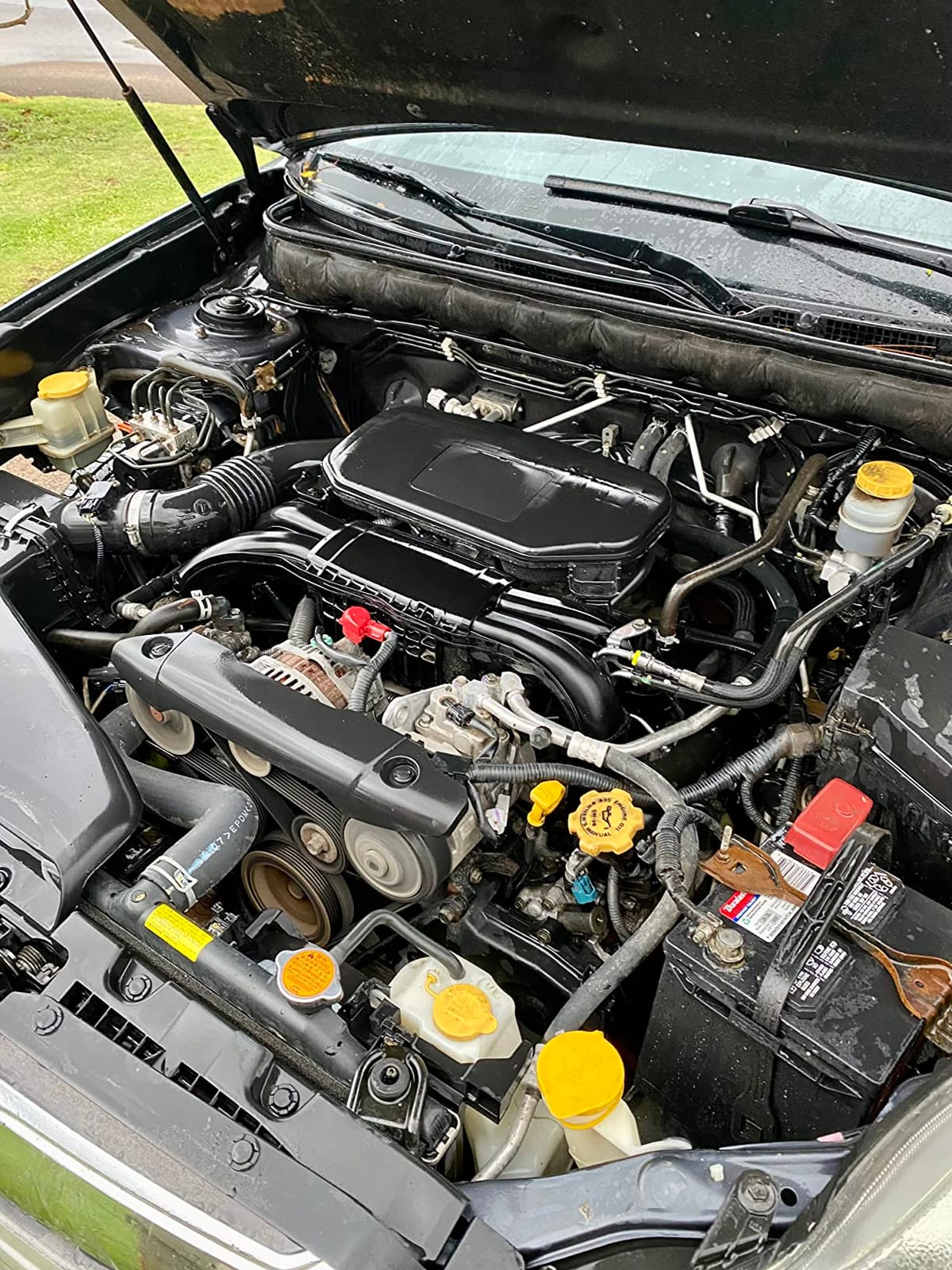 SONAX Engine Cleaner | Powerful Engine Degreaser for Oil & Grease Removal | 500 ml customer photo 2