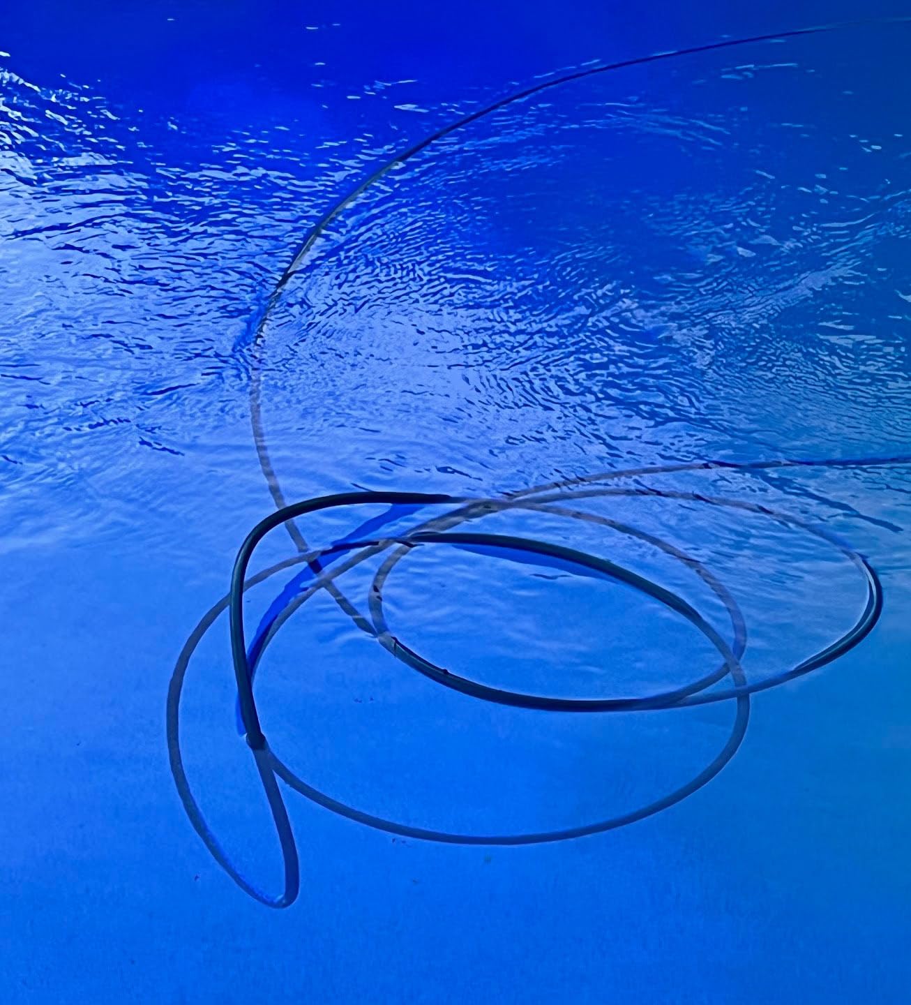 Dolphin Automatic Robotic Pool Vacuum Cleaner, Wall Climbing Scrubber Brush, Smart Navigation, Ideal for In-Ground Pools up to 40FT in Length - Nautilus CC Plus customer photo 2