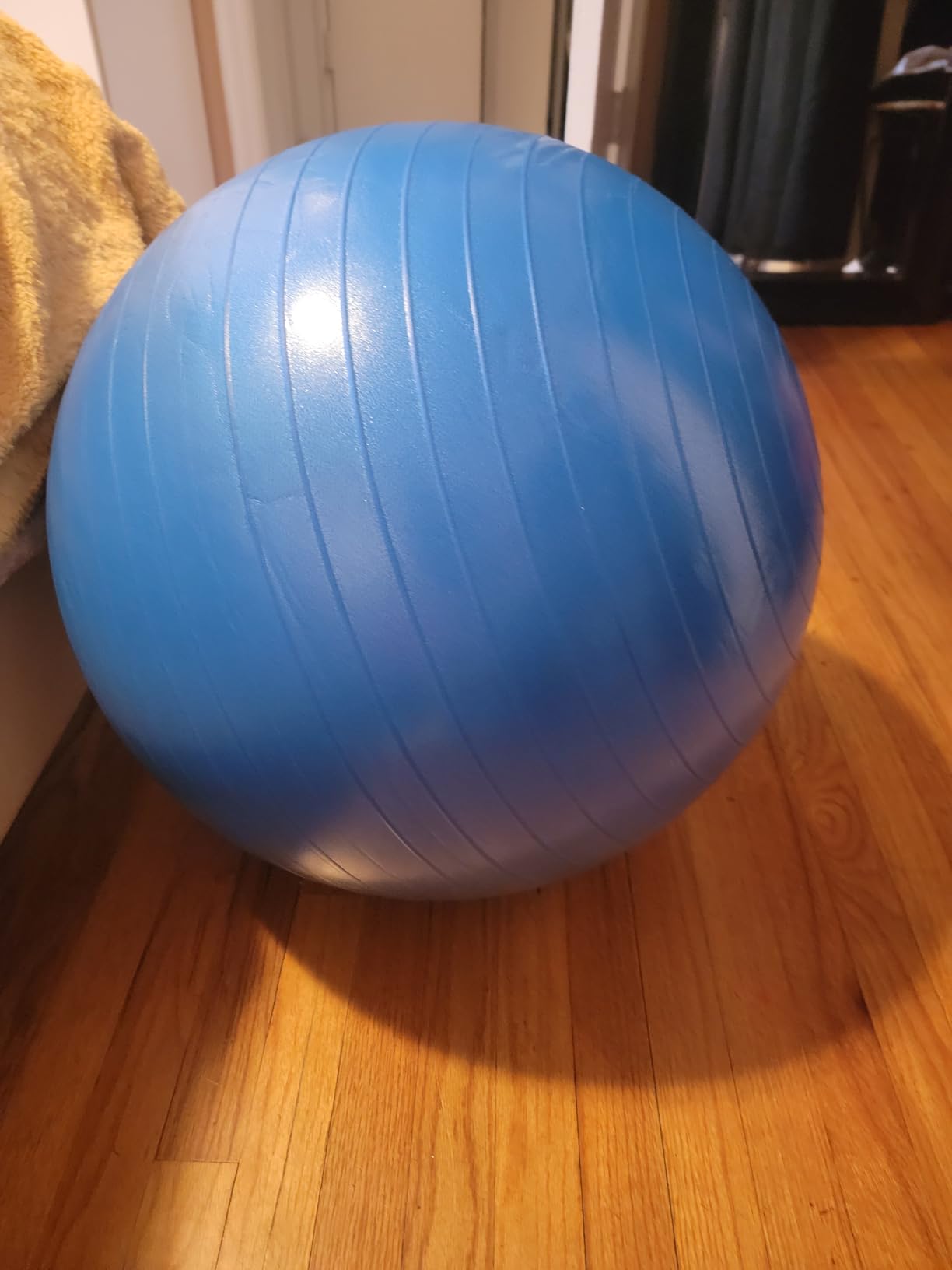 ProBody Pilates Yoga Ball - Gym Grade Exercise Ball | Sizes 45/55/65/75/85 cm, 880 lb Load, CA 10P Cert, PT & Prenatal Use, Recommended by OBs, Pump customer photo 1