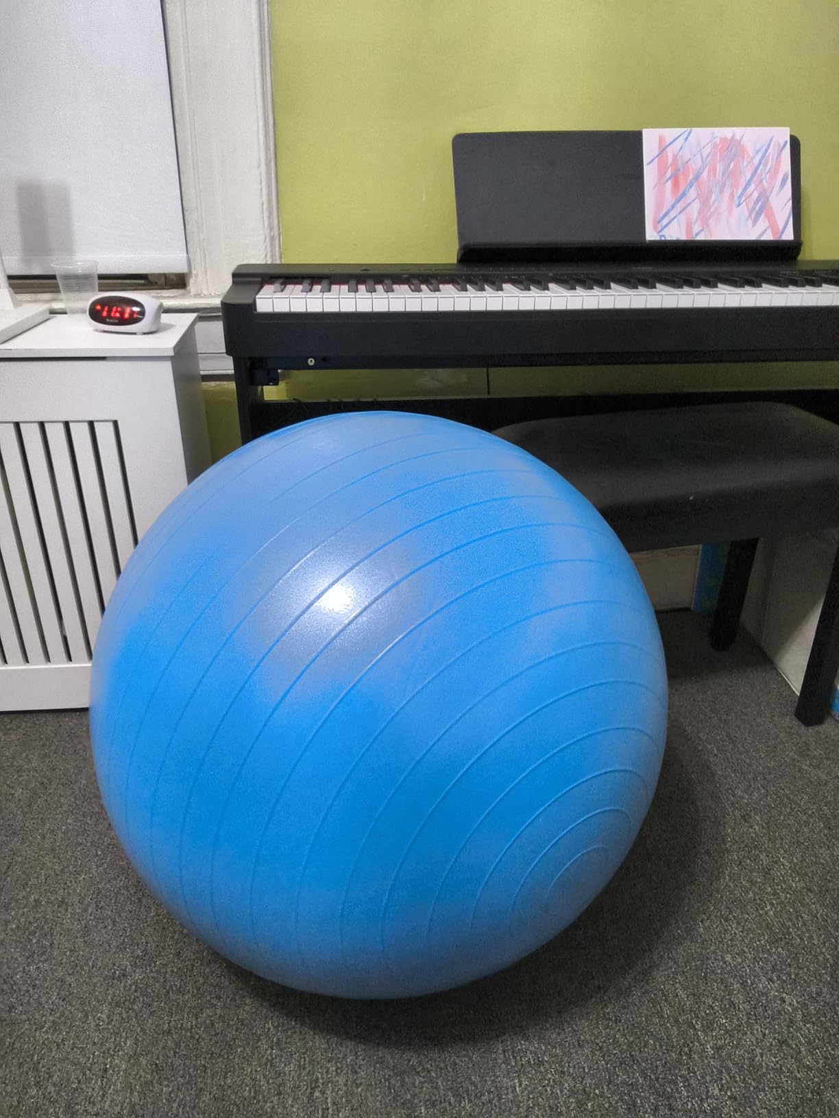 ProBody Pilates Yoga Ball - Gym Grade Exercise Ball | Sizes 45/55/65/75/85 cm, 880 lb Load, CA 10P Cert, PT & Prenatal Use, Recommended by OBs, Pump customer photo 2