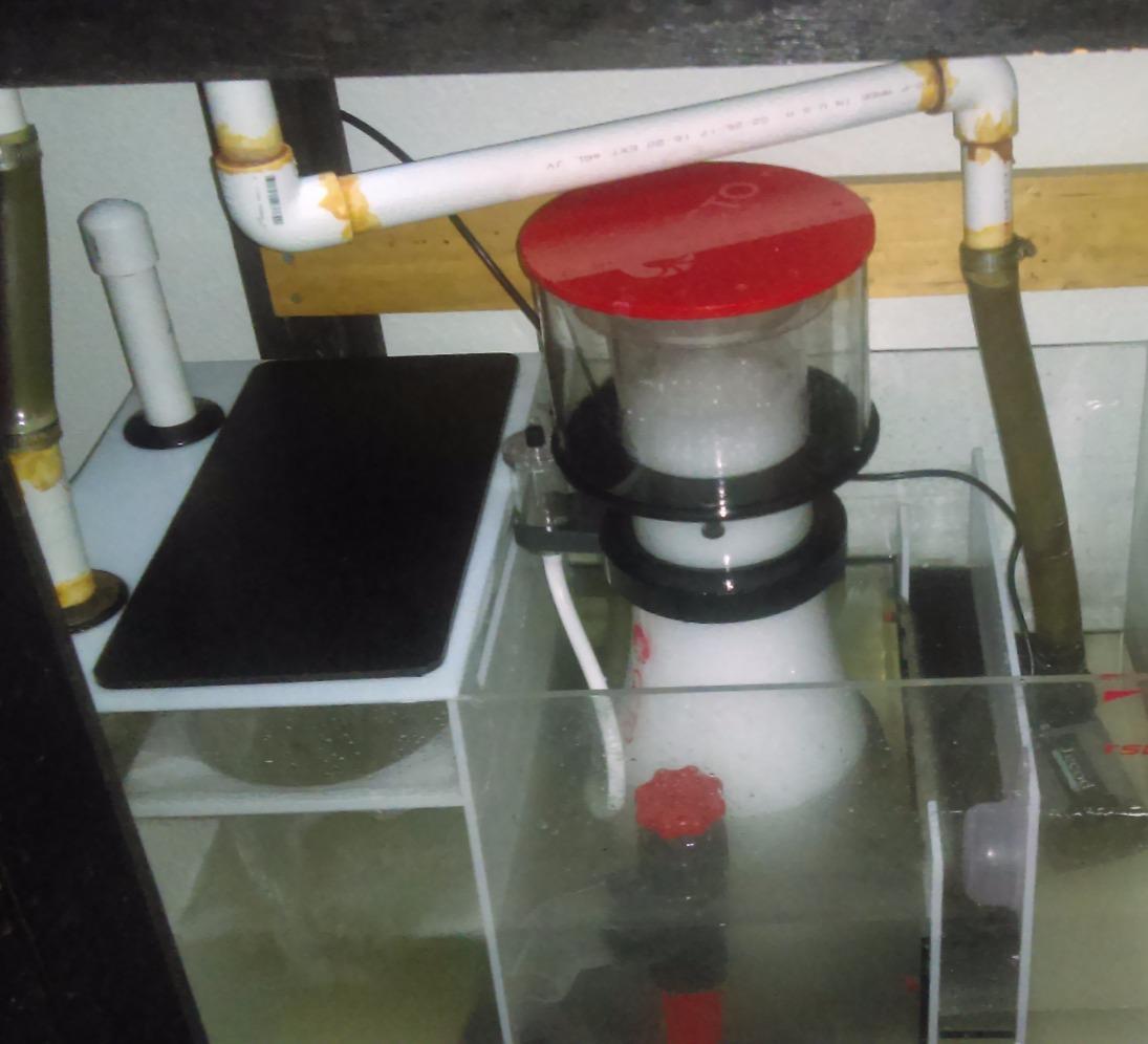 Reef Octopus Classic 202-S Protein Skimmer customer photo 1
