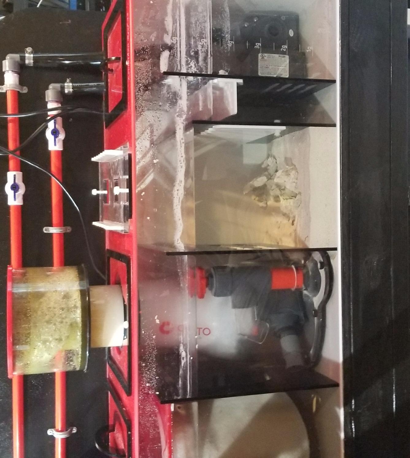 Reef Octopus Classic 202-S Protein Skimmer customer photo 2