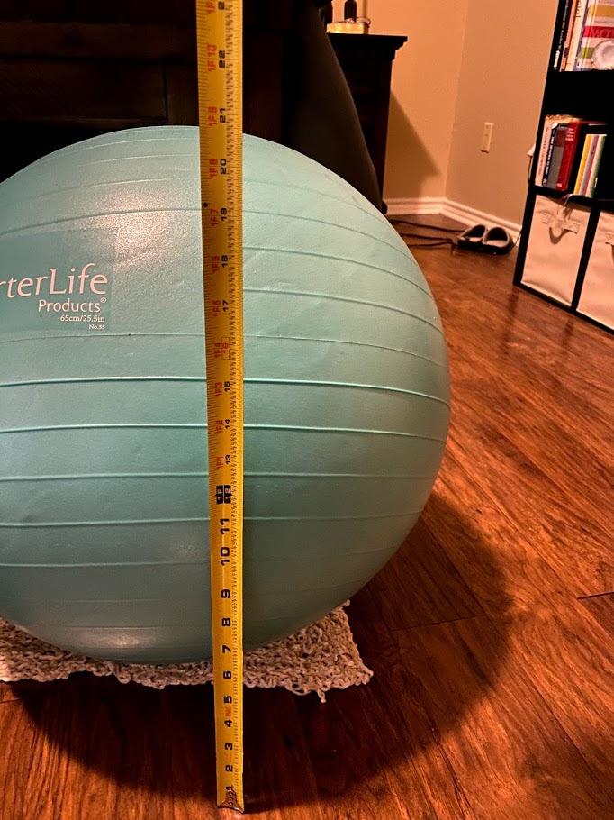 URBNFit Exercise Ball - Yoga Ball for Workout Pregnancy Stability - AntiBurst Swiss Balance Ball w/ Pump - Fitness Ball Chair for Office, Home Gym customer photo 1