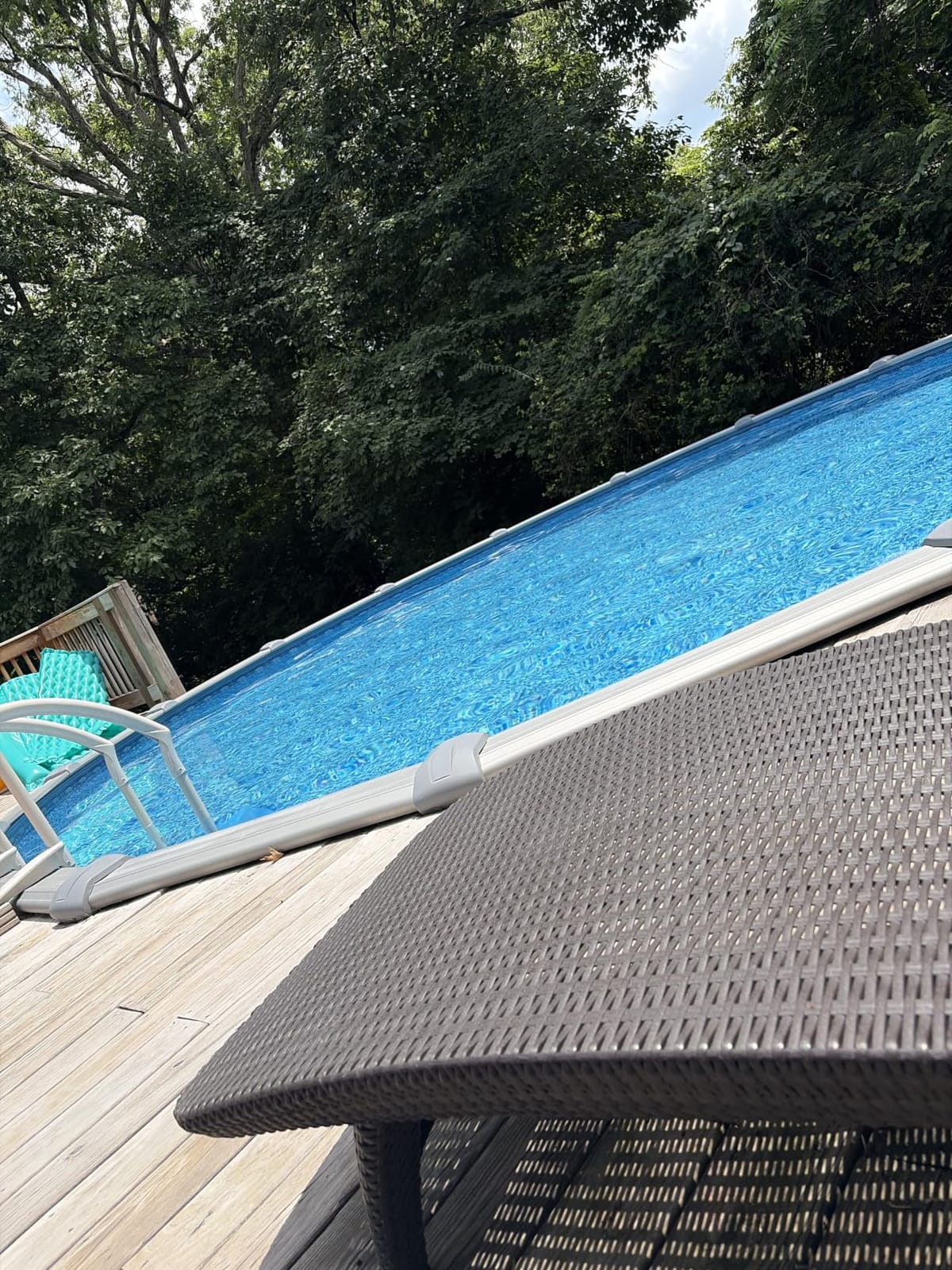 Dolphin (2026 Model) Nautilus AG Automatic Robotic Pool Vacuum Cleaner, Active Scrubber Brush, Top Load Filters Access, Ideal for Above-Ground Pools up to 33 FT in Length customer photo 1