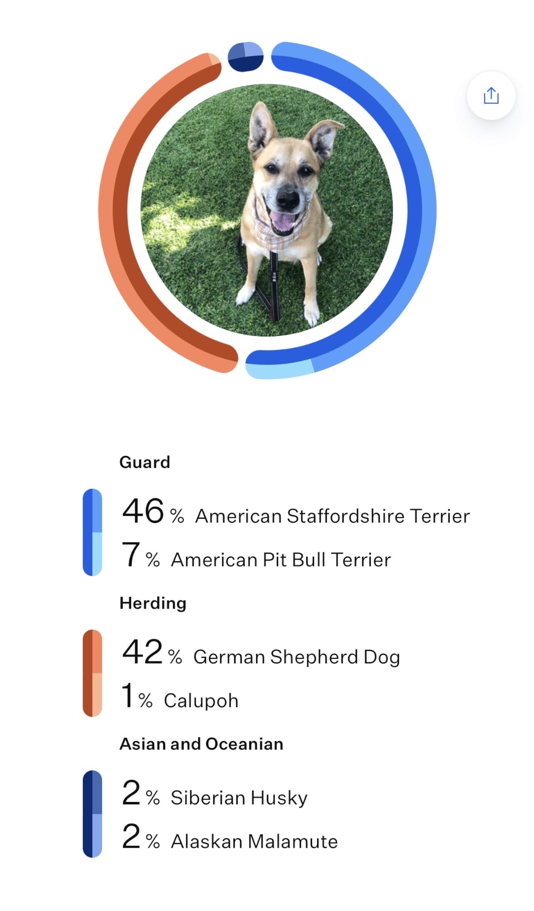 Wisdom Panel Breed Discovery Dog DNA Testing Kit - Most Accurate Dog Breed Identification - Test for 430+ Breeds, MDR1 Health Test, Ancestry, Relatives customer photo 1