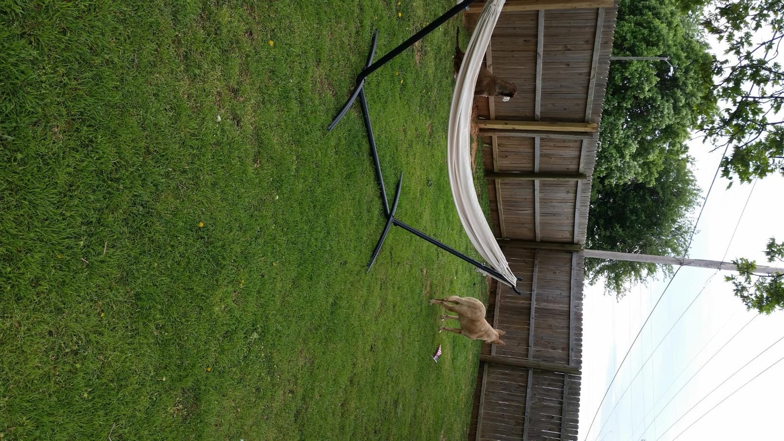 FDW Portable Hammock Double Stand | No Hammock | Sturdy Steel Construction | 400lbs Max Load | Height Adjustable | Double Stand for Improved Stability | For Home, Balcony, Porch Swing, Beach customer photo 2