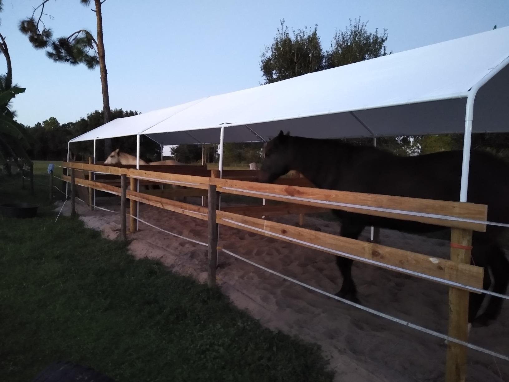 Quictent 10x20 ft Heavy Duty Carport Canopy Galvanized Car Tent Outdoor Garage Boat Shelter with Reinforced Structure, White customer photo 1