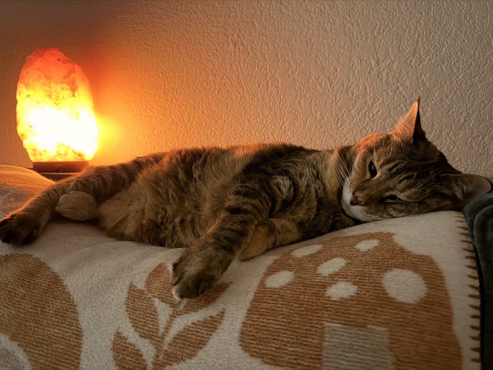 Himalayan Salt Lamp for Bedroom Large 6-8 Inch Pink Salt Rock Lamp with Dimmer, Wooden Base & Spare Bulbs | Calming Ambient Night Light | Thoughtful Wellness Gift for Women, Home, or Office customer photo 1